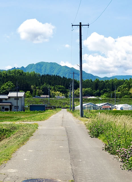 用地調査/折衝